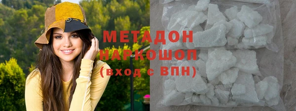 индика Арсеньев