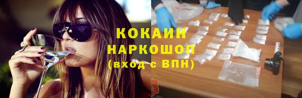 индика Арсеньев