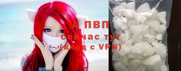 индика Арсеньев