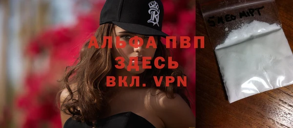индика Арсеньев