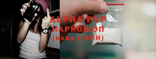 индика Арсеньев
