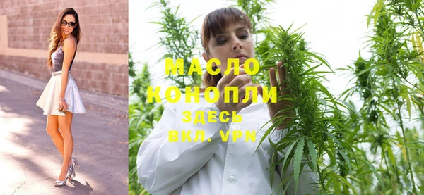 индика Арсеньев