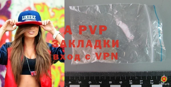 индика Арсеньев