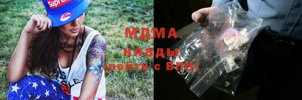 индика Арсеньев