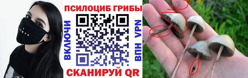 hydra сайт  наркошоп  Гай  сайты даркнета телеграм  Галлюциногенные грибы мухоморы 
